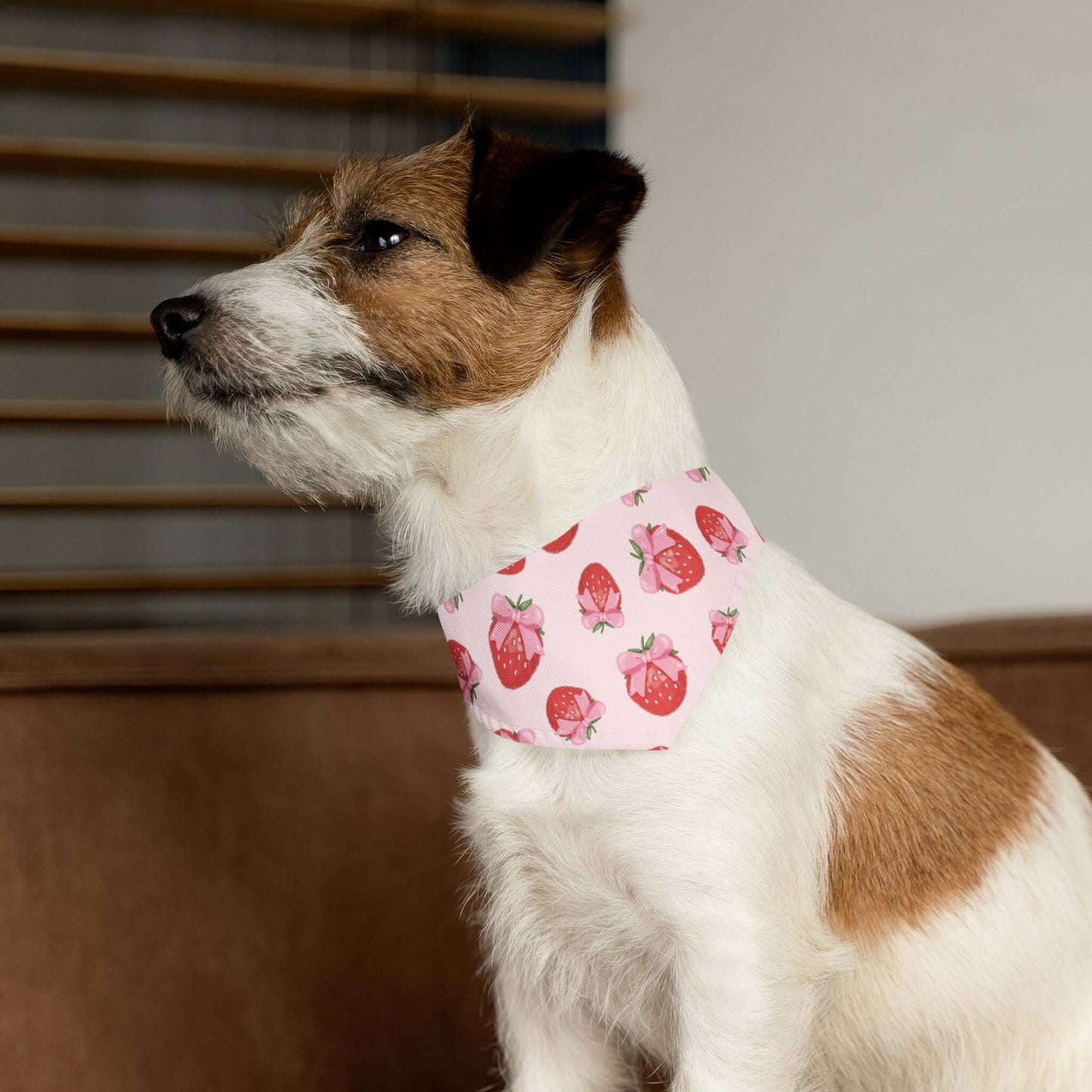 Clip-on Pet Bandana